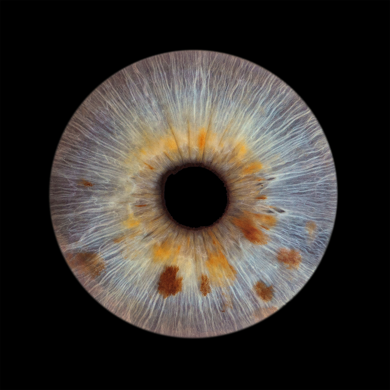 Photo d'iris de Sandrine Prost, photographe professionnelle et artistique à Annecy, Haute-Savoie